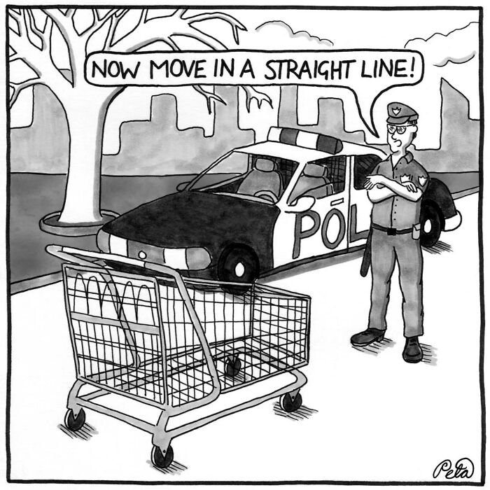 Let's Laugh at Life’s Weird Little Moments with These 30 Hilarious Cartoons