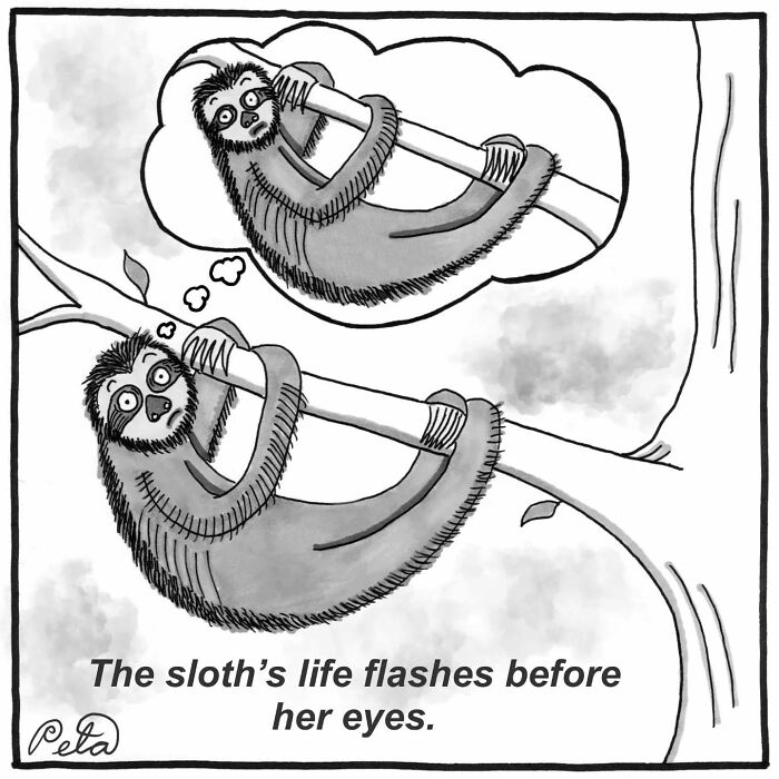 Let's Laugh at Life’s Weird Little Moments with These 30 Hilarious Cartoons