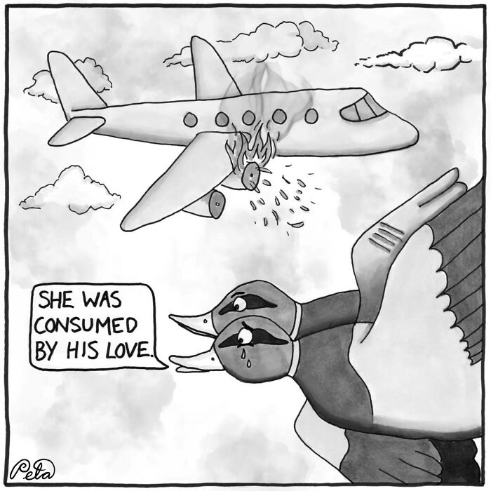 Let's Laugh at Life’s Weird Little Moments with These 30 Hilarious Cartoons