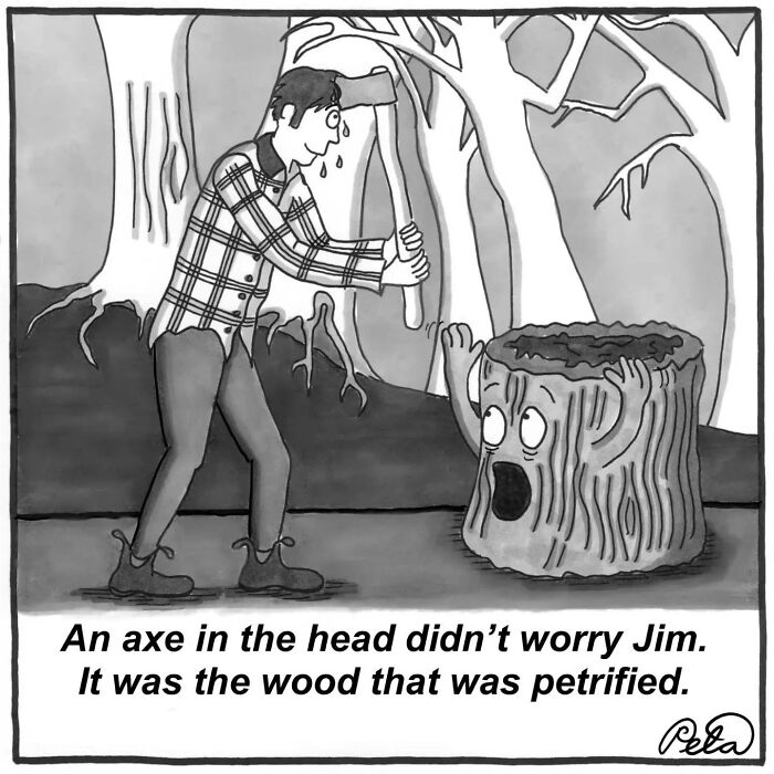 Let's Laugh at Life’s Weird Little Moments with These 30 Hilarious Cartoons