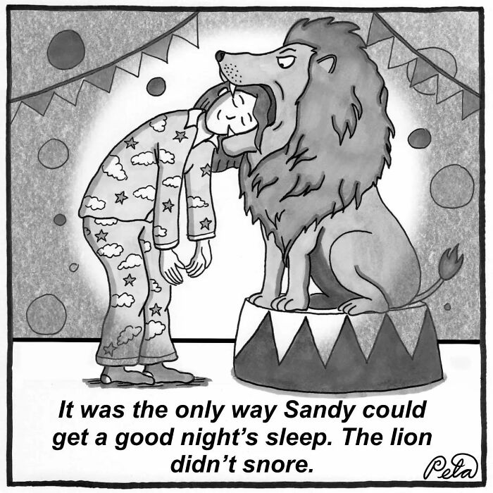 Let's Laugh at Life’s Weird Little Moments with These 30 Hilarious Cartoons