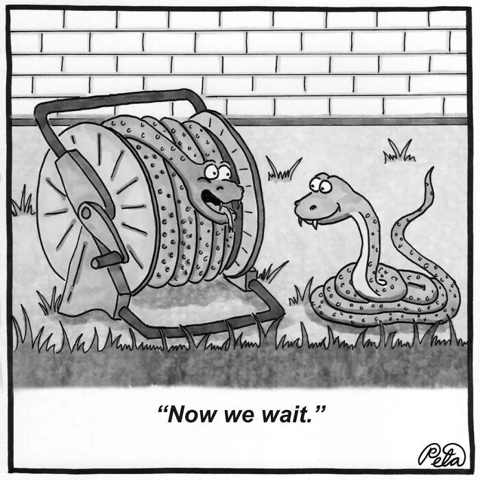 Let's Laugh at Life’s Weird Little Moments with These 30 Hilarious Cartoons