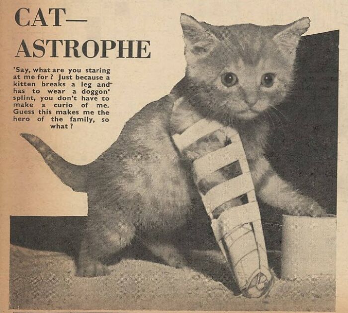 Good Morning By The Daily Mirror, England, August 9, 1943