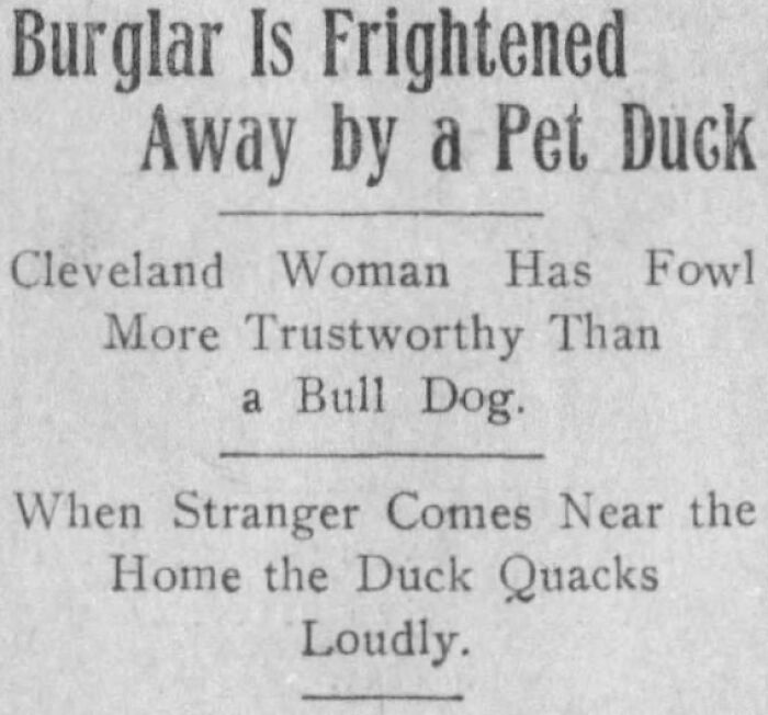 Star Tribune, Minneapolis, Minnesota, July 26, 1914