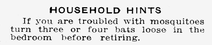 The Tampa Tribune, Florida, July 25, 1913