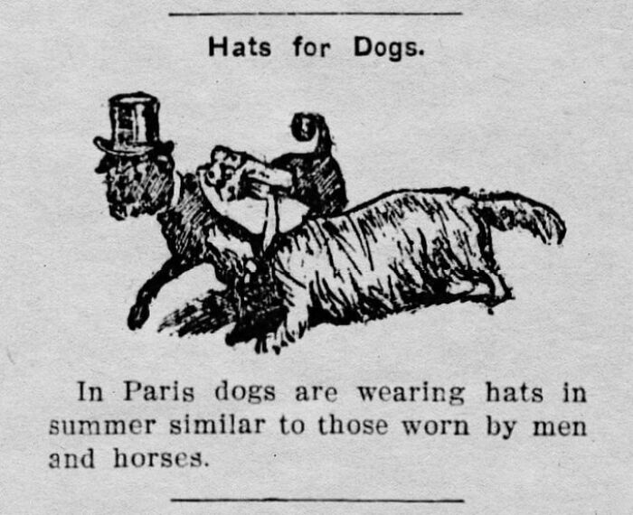 The Schuyler Sun, Nebraska, September 12, 1902