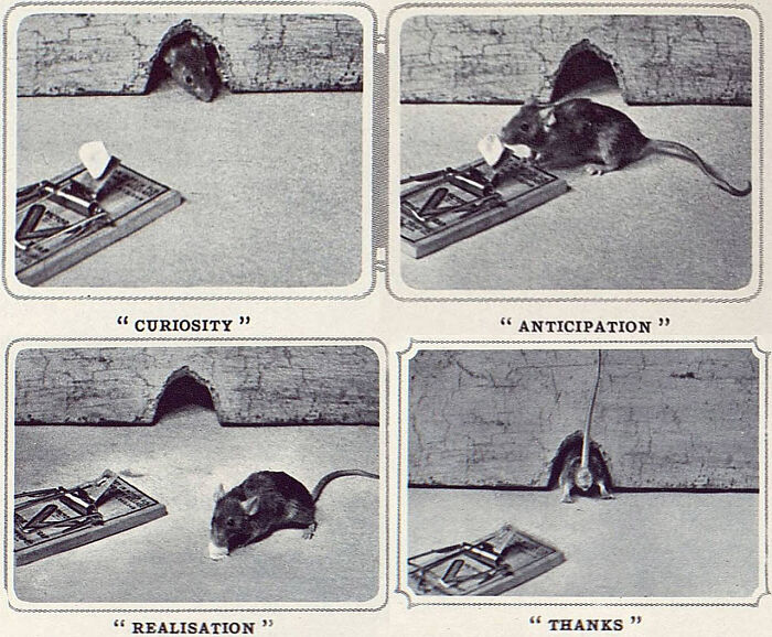 Old Newspaper Gems That Are Weirdly Funny and Totally Cool