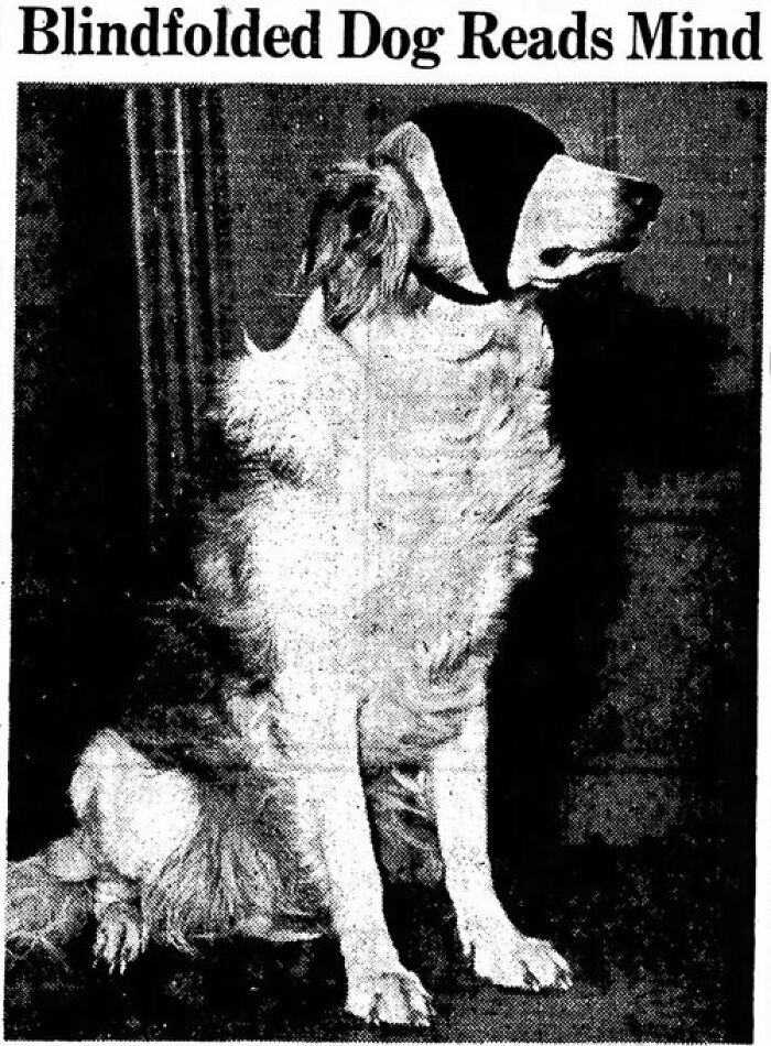 Old Newspaper Gems That Are Weirdly Funny and Totally Cool