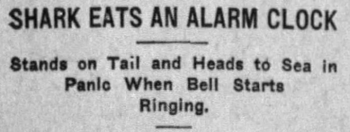 Old Newspaper Gems That Are Weirdly Funny and Totally Cool