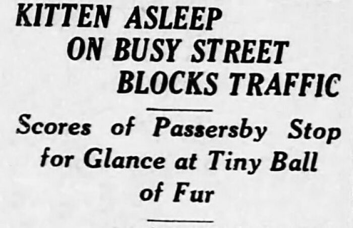 Old Newspaper Gems That Are Weirdly Funny and Totally Cool