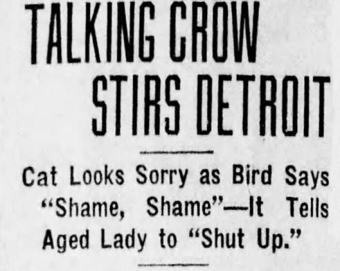 Old Newspaper Gems That Are Weirdly Funny and Totally Cool