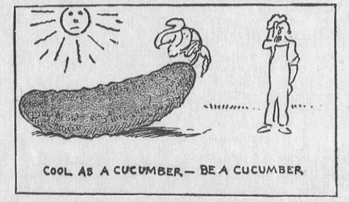 Old Newspaper Gems That Are Weirdly Funny and Totally Cool