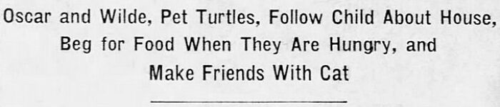 Old Newspaper Gems That Are Weirdly Funny and Totally Cool