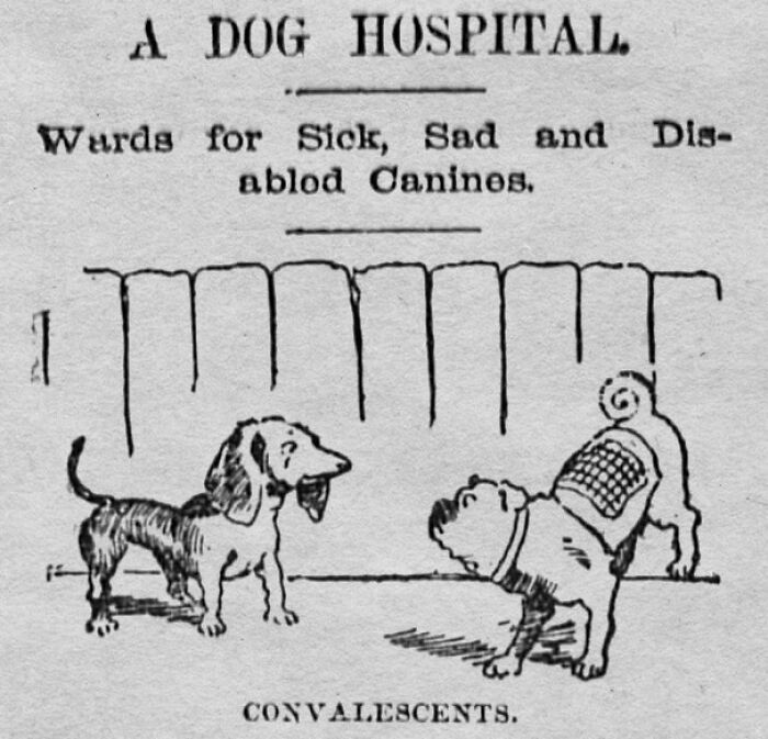 Old Newspaper Gems That Are Weirdly Funny and Totally Cool