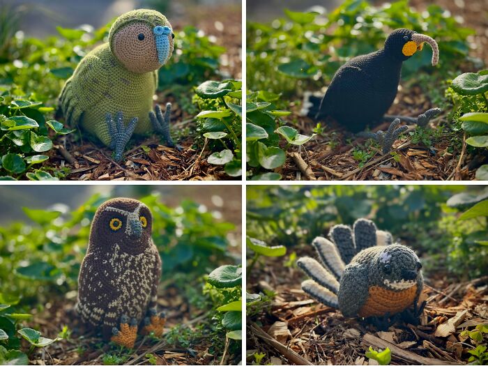 Check Out These Native New Zealand Birds I Made For A School!