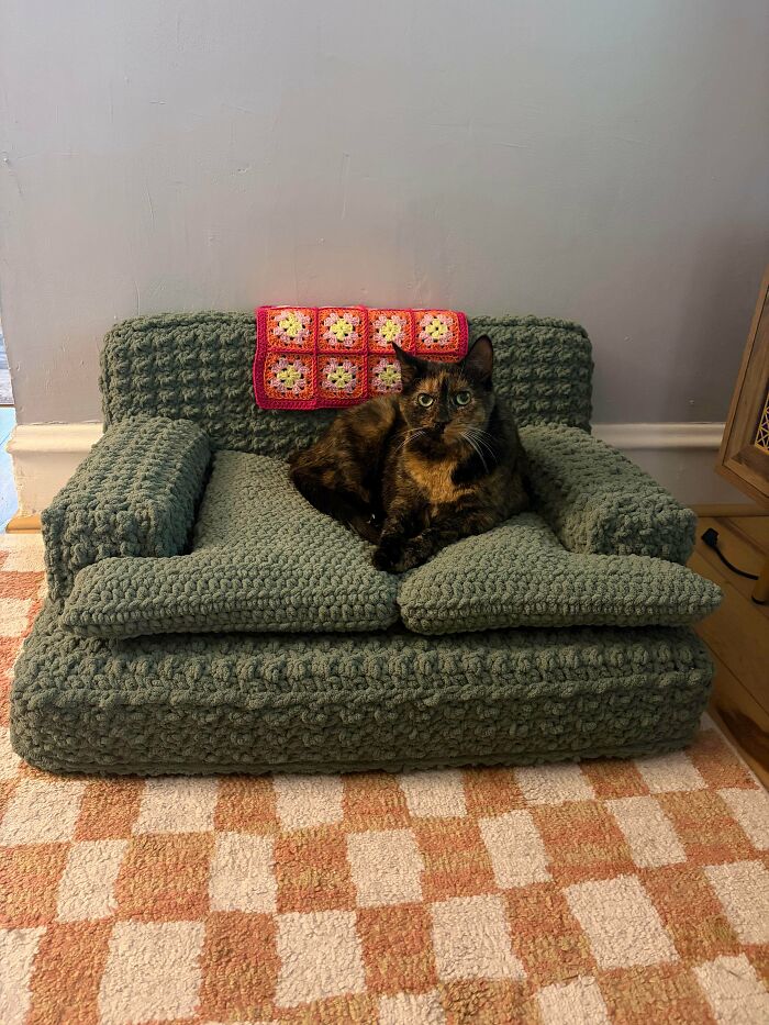 Custom Cat Couch For The Fuzziest Roommate Lum
