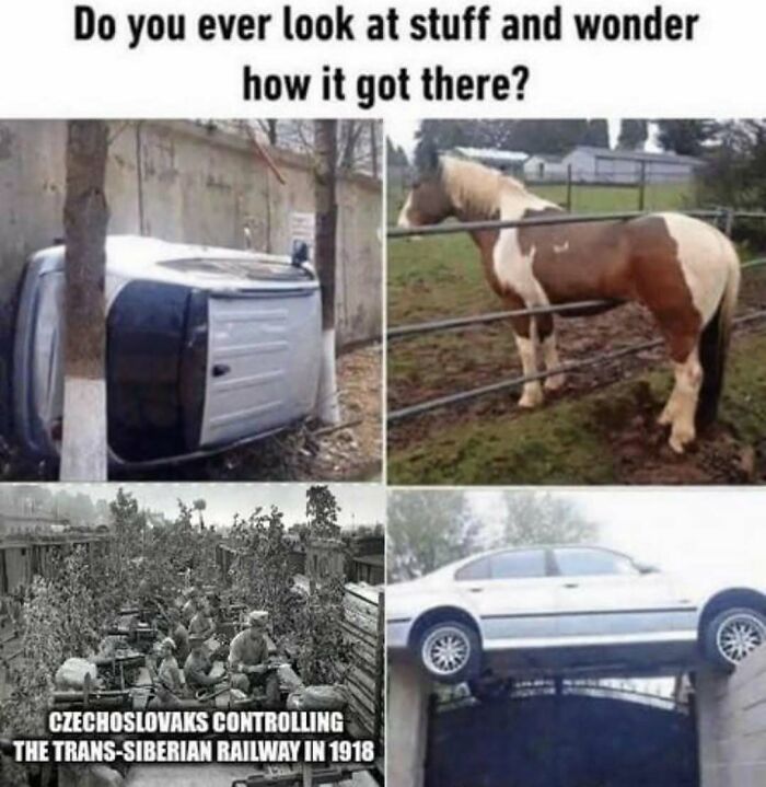 History's Weirdest Moments That’ll Make You LOL and Learn Stuff