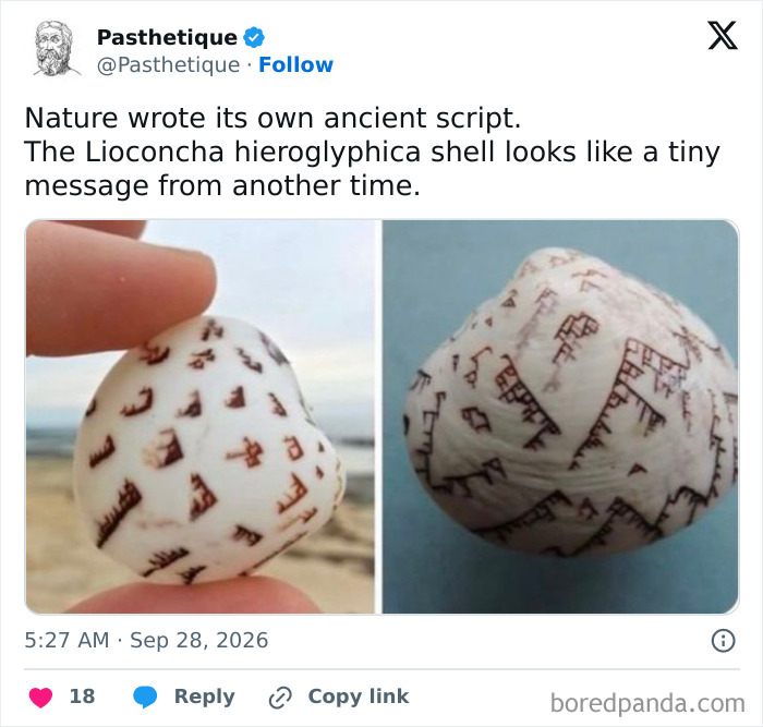 Wait, They Actually Made Stuff This Pretty Back Then?!